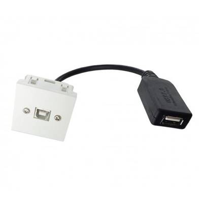 Plastron 45x45 USB 2.0 type B F / cordon USB type A amplifié F 0.2m