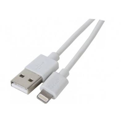 Cordon Apple Lightning (charge + synchro iPhone 5) - 1m
