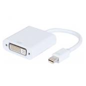 Adaptateur plastique mini DisplayPort 1.1 mâle vers DVI-D F (24+5)